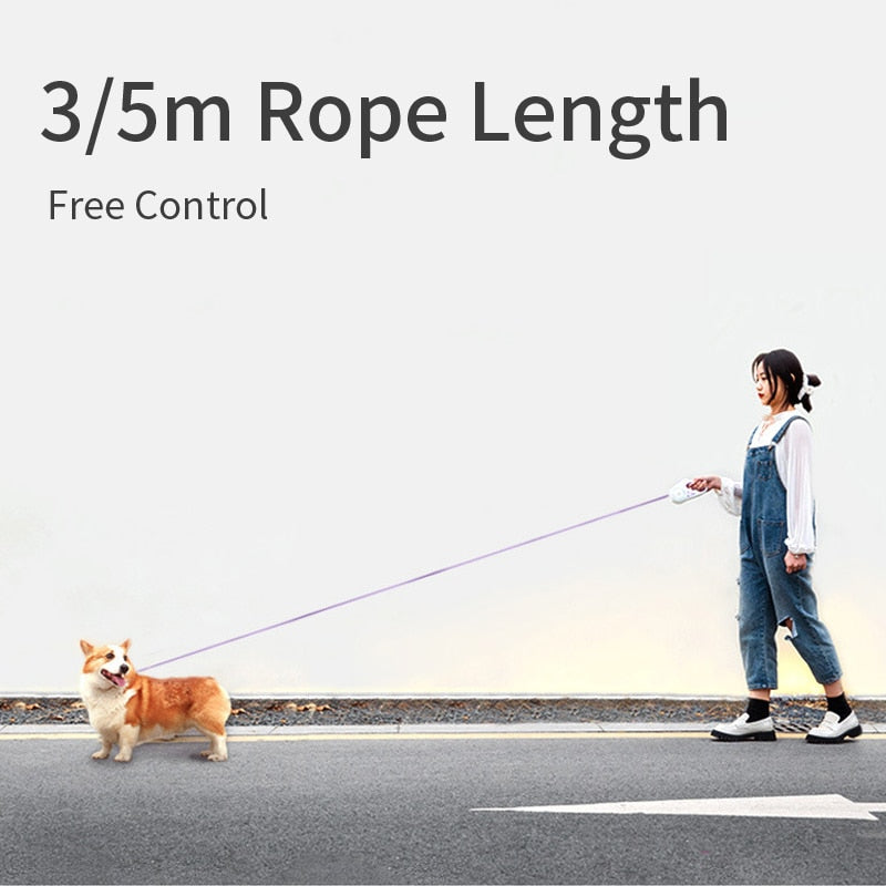 Automatic Retractable LED Pet Leash , Lighting Leash