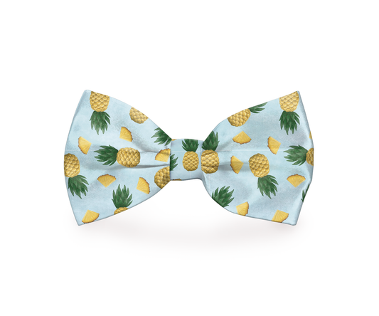 tropical pineapple pet bow tie