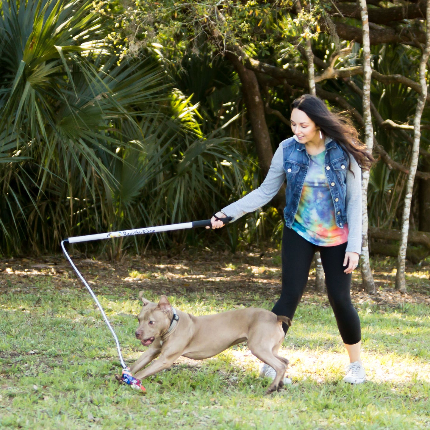 Interactive Flirt Pole V2 | Exercise & Training Toy for Dogs & Cats
