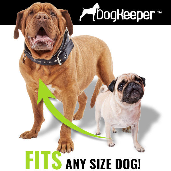 360° Rotating Heavy Duty Pet Stake | Secure Ground Anchor for All Pets
